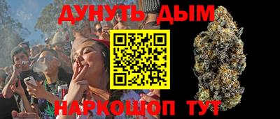 дживик Моздок