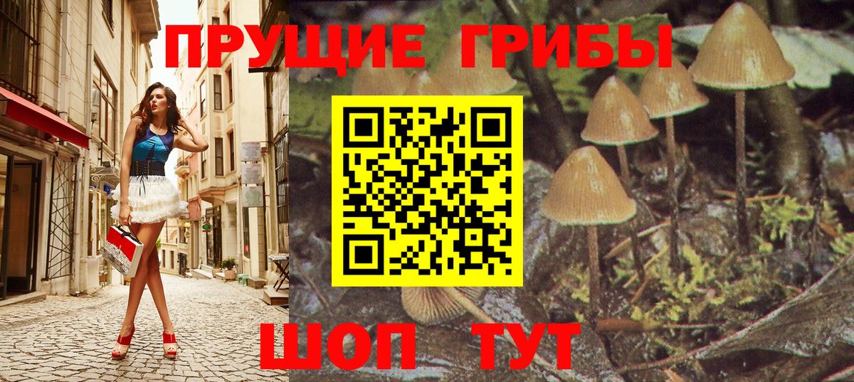 Галлюциногенные грибы прущие грибы Иркутск